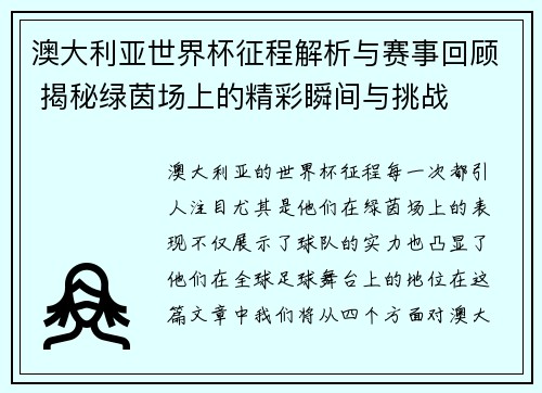澳大利亚世界杯征程解析与赛事回顾 揭秘绿茵场上的精彩瞬间与挑战